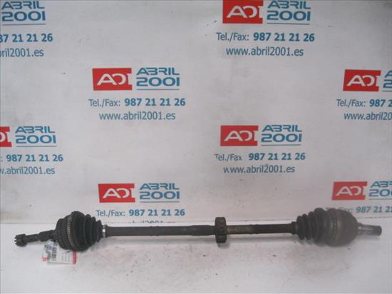 449019