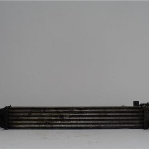 INTERCOOLER Fiat iii fiorino (225)(2008->) 1.3 D Multijet 199 A2.000 199A2000 51790623 AMARILLO