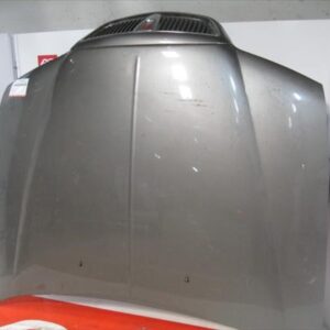 CAPO DELANTERO Rover rover 45 (rt)(2000->) 1.6 16 K4F 16K4F GRIS