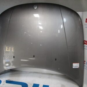 CAPO DELANTERO Saab 9-5 berlina (->06.2001) 2.2 TiD D223L GRIS-MARRON