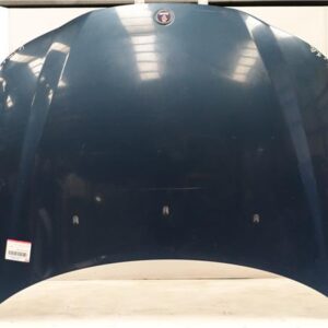 CAPO DELANTERO Saab 9-3 familiar (2005->) 1.9 TiD Z 19 DTH Z19DTH GRIS