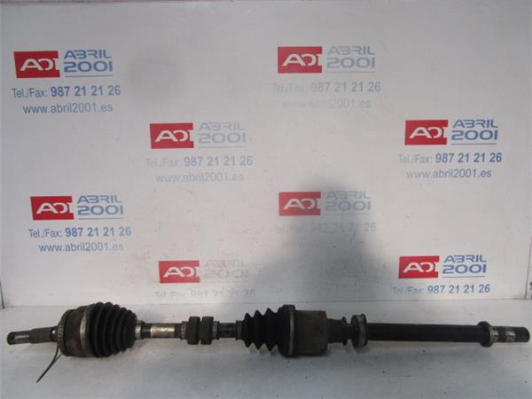 PALIER DEL. DCHO. Nissan primera berlina (p12)(12.2001->) 1.9 dCi D-F9Q - #Prov# DF9QPROV PLATA cardan Delantero Derecho trasmision
