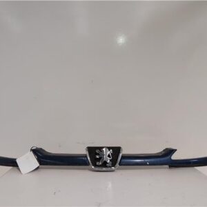REJILLA CAPO Peugeot 206 (1998->) 1.9 D WJZ (DW8) WJZ(DW8) AZUL    CALANDRA DELANTERA RADIADOR capot delantera 20DL13