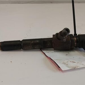 INYECTOR Ford tourneo connect (tc7)(2002->) 1.8 Turbo Di R3PA - #Prov# R3PAPROV 7T1Q9F593AB GRIS