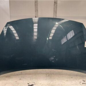 CAPO Peugeot partner tepee (05.2008->) 1.6 Premium [1,6 Ltr. - 80 kW HDi FAP CAT (9HZ / DV6TED4)] 9HZ (DV6TED4) 9HZ(DV6TED4) AZUL    capot 20DP76