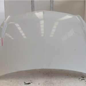 CAPO Opel zafira b (2005->) 1.6 Cosmo [1,6 Ltr. - 85 kW 16V] D-Z17DTR - #Prov# DZ17DTRPROV BLANCO    capot