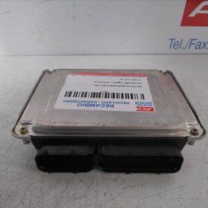 CENTRALITA Volkswagen passat berlina (3b3)(2000->) 1.9 TDI AVF BOSCH/0281010543 BOSCH0281010543 GRIS OSCURO    uce