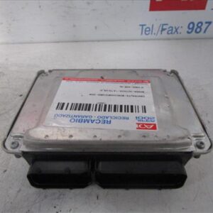 CENTRALITA Skoda octavia berlina (1u2)(1997->) 1.9 TDI AXR BOSCH/0281012920 BOSCH0281012920 GRIS    uce