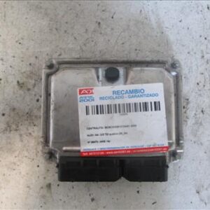 CENTRALITA Audi a4 berlina (8e)(04.2003->) 2.5 TDI Quattro (132kW) [2,5 Ltr. - 132 kW V6 24V TDI] AKE BOSCH/0281010446 BOSCH0281010446 GRIS    uce