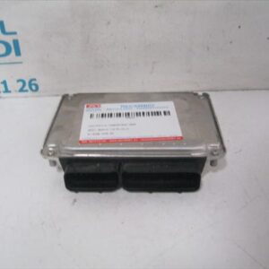 CENTRALITA Seat ibiza (6l1)(04.2002->) 1.9 TDI AXR 0281011219 281011219 038906019NE 38906019NE NEGRO BOSCH   uce