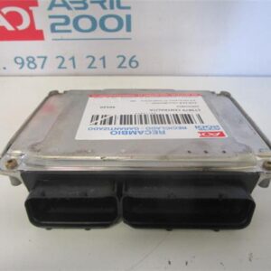 CENTRALITA Audi a4 berlina (8e)(04.2003->) 2.5 TDI Quattro (132kW) [2,5 Ltr. - 132 kW V6 24V TDI] AKE 0281010823 281010823 GRIS    uce