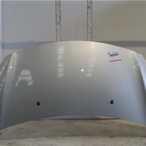 CAPO DELANTERO Citroen c3 (09.2009->) 1.6 Collection [1,6 Ltr. - 68 kW HDi FAP] 9H06 - #Prov# 9H06PROV GRIS