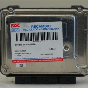 CENTRALITA Peugeot 207 (2006->) 1.6 HDi 9HX (DV6ATED4) 9HX(DV6ATED4) 0281013868 281013868 GRIS Y NEGRO BOSCH   uce