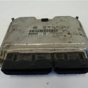 CENTRALITA Seat leon (1m1)(11.1999->) 1.9 TDI AHF 0281010229 281010229 AZUL OSCURO uce