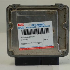 CENTRALITA Volkswagen passat berlina (3c2)(2005->) 2.0 FSI BLR 0261S02132 261S02132 GRIS uce