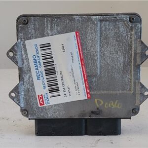 CENTRALITA Fiat i doblo (223) cargo (2001->) 1.3 D Multijet 199 A2.000 199A2000 51805371 BLANCO    uce