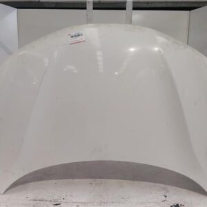 CAPO DELANTERO Nissan qashqai ii (j11e)(2013->) 1.6 360 4x4 [1,6 Ltr. - 96 kW dCi Turbodiesel CAT] R9M - #Prov# R9MPROV BLANCO