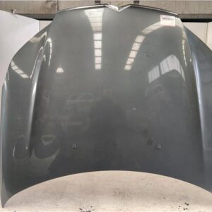 CAPO DELANTERO Citroen c5 berlina (2008->) 1.6 THP 155 5FV (EP6DT) 5FV(EP6DT) GRIS    20EA14