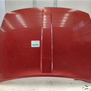 CAPO DELANTERO Dodge caliber (pm)(2006->) 2.0 S [2,0 Ltr. - 103 kW 16V CRD CAT] BSY + SERIAL - #Prov# BSY+SERIALPROV GRANATE