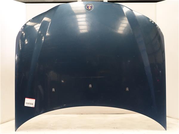 CAPO DELANTERO Saab 9-3 familiar (2005->) 1.9 TiD Z 19 DTH Z19DTH GRIS