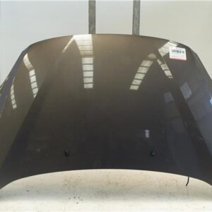 CAPO DELANTERO Ford c-max (cb7)(2010->) 1.0 Titanium [1,0 Ltr. - 92 kW EcoBoost CAT] M1DA - #Prov# M1DAPROV GRIS