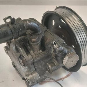 BOMBA SERVODIRECCION Volkswagen golf iv berlina (1j1)(1997->) 1.9 TDI ASV 1J0422154A GRIS EGS