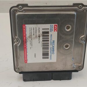 CENTRALITA Volkswagen touareg (7la)(2002->) 5.0 TDI V10 [5,0 Ltr. - 230 kW V10 TDI CAT (AYH)] AYH 0281011481 281011481 070906016AA 70906016AA GRIS    uce