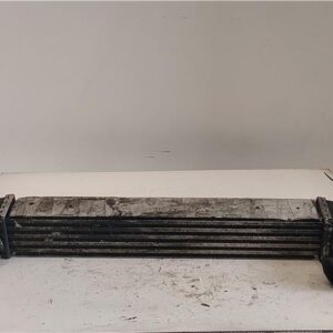 INTERCOOLER Fiat iii fiorino (225)(2008->) 1.3 D Multijet 199 A2.000 199A2000 51790623 AMARILLO