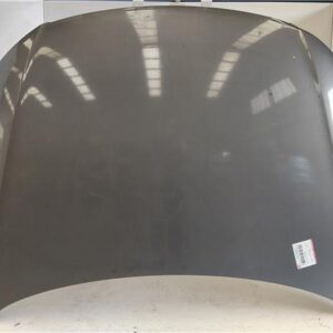 CAPO DELANTERO Volkswagen passat berlina (3c2)(2005->) 2.0 TDI 16V BKP GRIS    HDV