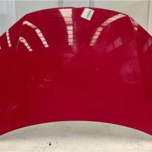 CAPO DELANTERO Volkswagen golf v (1k1)(2003->) 2.0 GTI BWA ROJO    JLW
