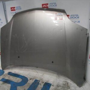 CAPO DELANTERO Nissan x-trail (t30)(06.2001->) 2.2 dCi D/ YD22 - #Prov# DYD22PROV GRIS