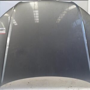 CAPO DELANTERO Audi a4 berlina (8e)(2004->) 2.0 TDI 16V (103kW) [2,0 Ltr. - 103 kW TDI] BLB GRIS