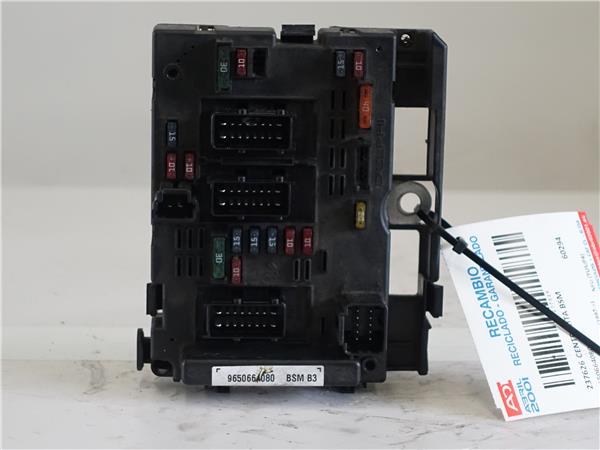 CENTRALITA BSM Citroen xsara berlina (1997->) 1.6 16V NFU (TU5JP4) NFU(TU5JP4) 9650664080 GRIS 20CP51