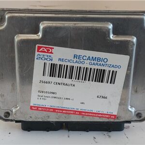 CENTRALITA Seat leon (1m1)(11.1999->) 1.9 TDI ARL 0281010985 281010985 GRIS    uce ERF