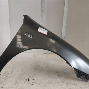 ALETA DEL. DCHA. Seat toledo (1m2)(03.1999->) 1.9 TDI ARL GRIS    aletas Delanteras delanteros Derechas derechos