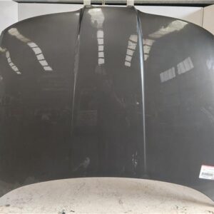 CAPO DELANTERO Seat toledo (1m2)(03.1999->) 1.9 TDI ARL GRIS