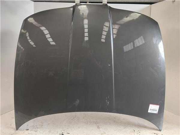 CAPO DELANTERO Seat toledo (1m2)(03.1999->) 1.9 TDI ARL GRIS