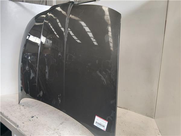 CAPO DELANTERO Seat toledo (1m2)(03.1999->) 1.9 TDI ARL GRIS - Imagen 3