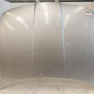 CAPO DELANTERO Seat toledo (1m2)(03.1999->) 1.9 TDI ASV GRIS PLATA