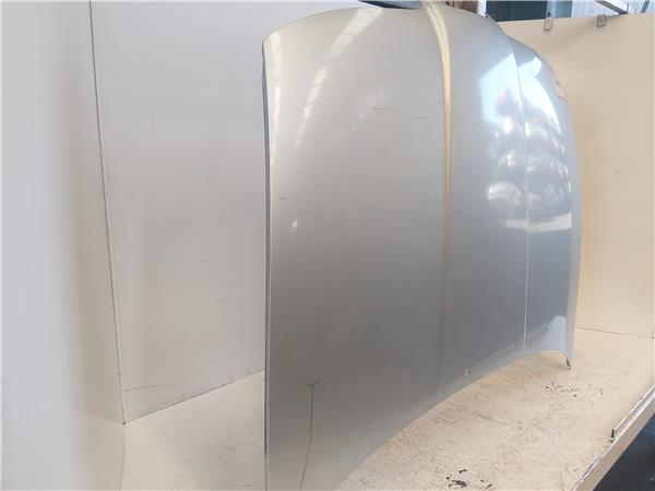 CAPO DELANTERO Seat toledo (1m2)(03.1999->) 1.9 TDI ASV GRIS PLATA - Imagen 2