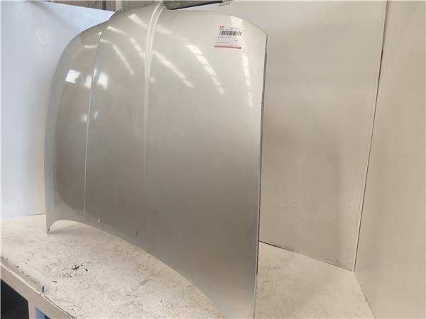 CAPO DELANTERO Seat toledo (1m2)(03.1999->) 1.9 TDI ASV GRIS PLATA - Imagen 3