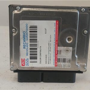 CENTRALITA BMW serie 3 touring (e91)(2005->) 2.0 318d [2,0 Ltr. - 105 kW Turbodiesel CAT] N47 D20 A N47D20A 0281014239 281014239 AZUL    uce