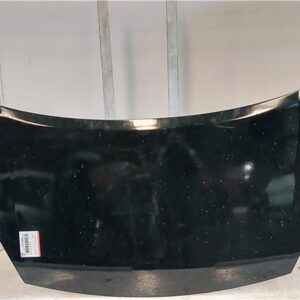 CAPO DELANTERO Citroen berlingo furgón (2008->) 1.6 HDi 90 9HX (DV6ATED4) 9HX(DV6ATED4) NEGRO