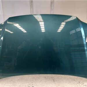 CAPO DELANTERO Volkswagen touran (1t1)(02.2003->) 1.9 Highline [1,9 Ltr. - 74 kW TDI] AVQ VERDE    GQN