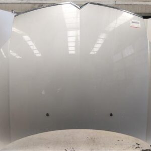 CAPO Citroen c6 (2005->) 2.7 HDi UHZ (DT17BTED4) UHZ(DT17BTED4) GRIS    capot 20GG05