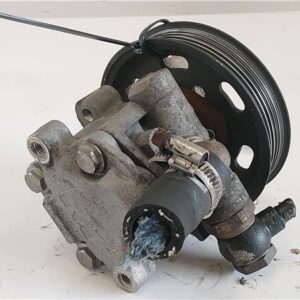 BOMBA SERVODIRECCION Seat alhambra (7v8)(01.1996->) 1.9 TDI AUY AZUL