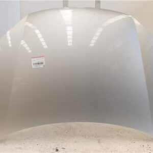 CAPO DELANTERO Volkswagen golf v (1k1)(2003->) 1.6 FSI BLP GRIS