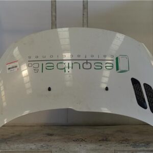 CAPO DELANTERO Peugeot 206 + (2009->) 1.4 Básico [1,4 Ltr. - 50 kW HDi] 8HZ (DV4TD) 8HZ(DV4TD) BLANCO