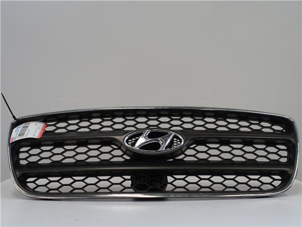REJILLA CAPO Hyundai santa fe (cm)(2006->) 2.2 CRDi D4EB E86561-2B010 E865612B010 GRIS PLATA CALANDRA DELANTERA RADIADOR capot delantera
