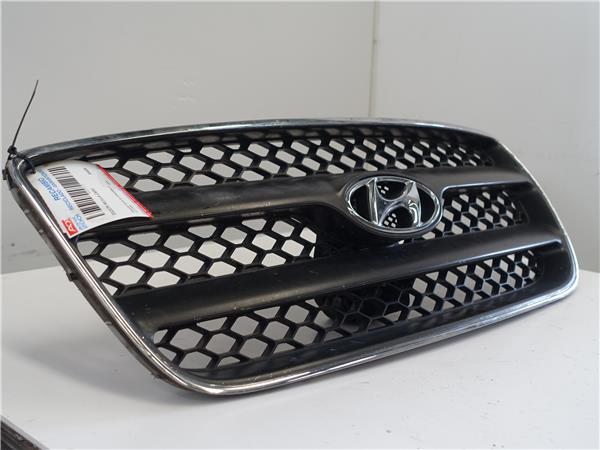 REJILLA CAPO Hyundai santa fe (cm)(2006->) 2.2 CRDi D4EB E86561-2B010 E865612B010 GRIS PLATA CALANDRA DELANTERA RADIADOR capot delantera - Imagen 2
